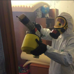 Уничтожение клопов в квартире. Сосенский